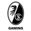 SC Freiburg Gaming