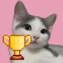 Kaulquappe228 Speedrunning