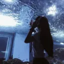 GIF WORLD