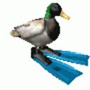 samenami  ,   j2l=ban Discord Server Icon