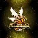 BeeGaming Terminal
