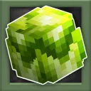 The Lettuce Lounge