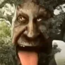 The Woods