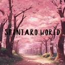 ShintaroWorld Discord Server Icon