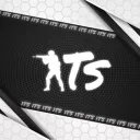 1TS