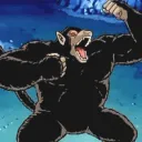 🐒 La Jungle 🐒