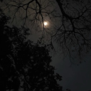 ⋆ 𝐋𝐚𝐲𝐚𝐥𝐢 ⋆ Discord server icon