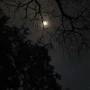 ⋆ 𝐋𝐚𝐲𝐚𝐥𝐢 ⋆ Discord Server Icon