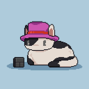 BnCat_  Official Discord icon