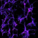 Jps multiverse