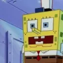 SpongeBobRocks11 Server