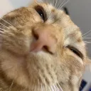 Haydens Hangout's icon