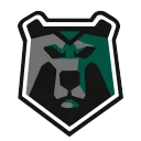ESports Black Bears — Polytech