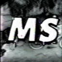 ⌞✦ Mᴀsᴛᴇʀ Sʟɪᴍ⌝