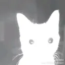 Free Society Discord Server Icon