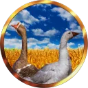 Goose Company