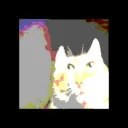 moneywuva Discord Server Icon