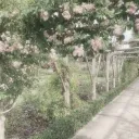 faithful Discord Server Icon