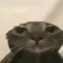 女. Discord Server Icon