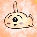 ✢* usagi fans!! ┆*✢