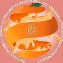 Orange’s  Project