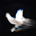 Discovery icon for Ether.∆ Discord server