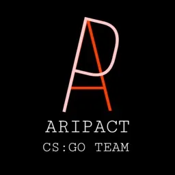 ARIPACT — мониторинг Discord сервера, статистика и рейтинг