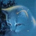 ✧. ┊ starclan