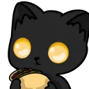 Taco Cats