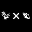 s e s s i o n s