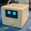 YANG Programs