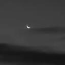 The Moon Discord Server Icon