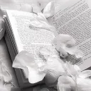 𓎟  ֺ　﹒𝒜𝐧gelical　৩﹒　ℌe𝘳𝘰es︐ ׄ 　๑