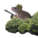 THA Bush