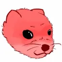 Fear Ferret's