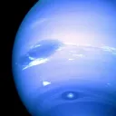 𝘕𝘦𝘱𝘵𝘶𝘯𝘦. Discord Server Icon