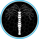 🧬Spinal SCP