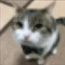 grupo de autistas Discord Server Icon