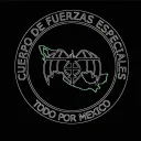 Tampico | Cuerpo de Fuerzas Especiales