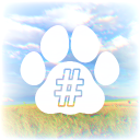FeralCode (Academy)