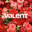 valent Discord server icon