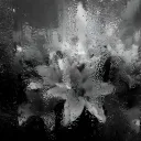 ༒𝘓𝘦𝘭𝘰𝘯𝘪𝘪 𝘩𝘪𝘨𝘩༒