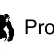 Proc