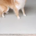 無名