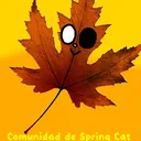 El Cartel de SpringCat 🔥