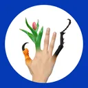 MB