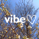 vibe Discord server icon
