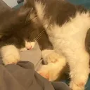 The Ruins Discord Server Icon