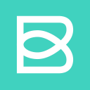 Bleam.app icon