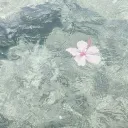 seaside shore :: slow revamp